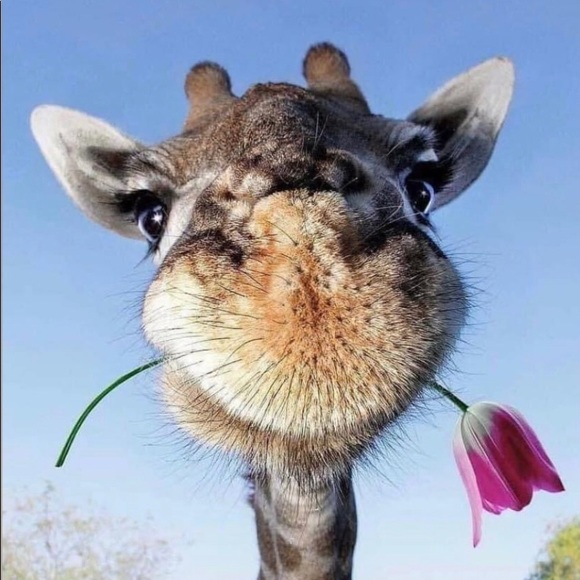 Meet your Posher, Renee - Picture 10 of 10